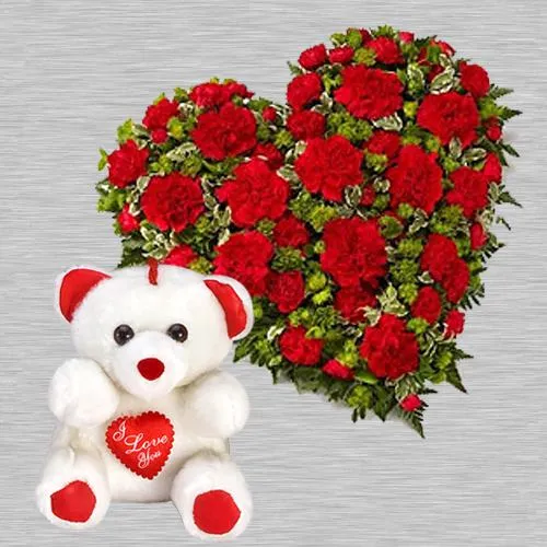 carnation teddy bear