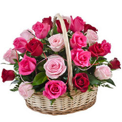 Send Congratulation Gifts to Hyderabad | Low Price | Hyderabad Online ...