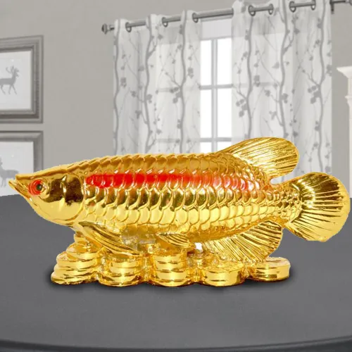 Order Golden Arowana Fish