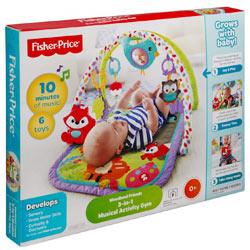 fisher price 3 in 1 play gym