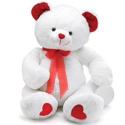 white and red teddy bear